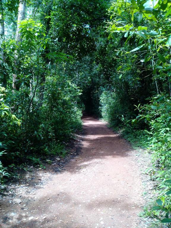 Sobaco Nature Resort Μπεντότα Εξωτερικό φωτογραφία